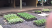 Reforma do Centro de Educação Ambiental - Casa do Pequeno Jardineiro, nas dependências da usina de Juiz de Fora da ArcelorMittal S.A, no ano de 2006.